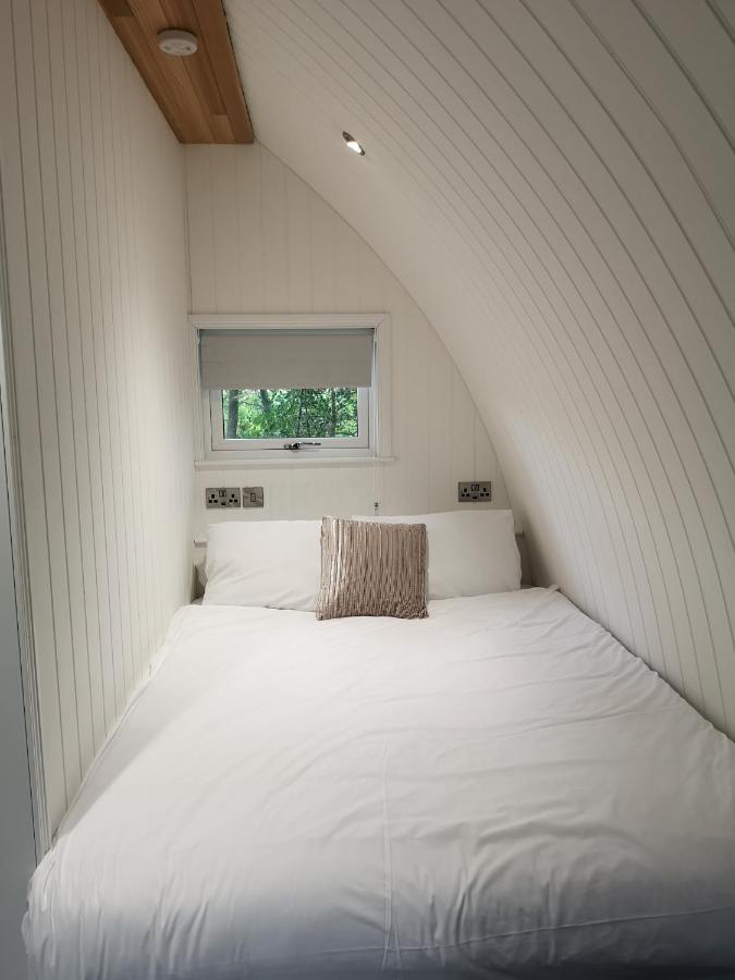 The Pod-Hot Tub-Woodland Lodges-St Clears-Carmarthen Eksteriør bilde