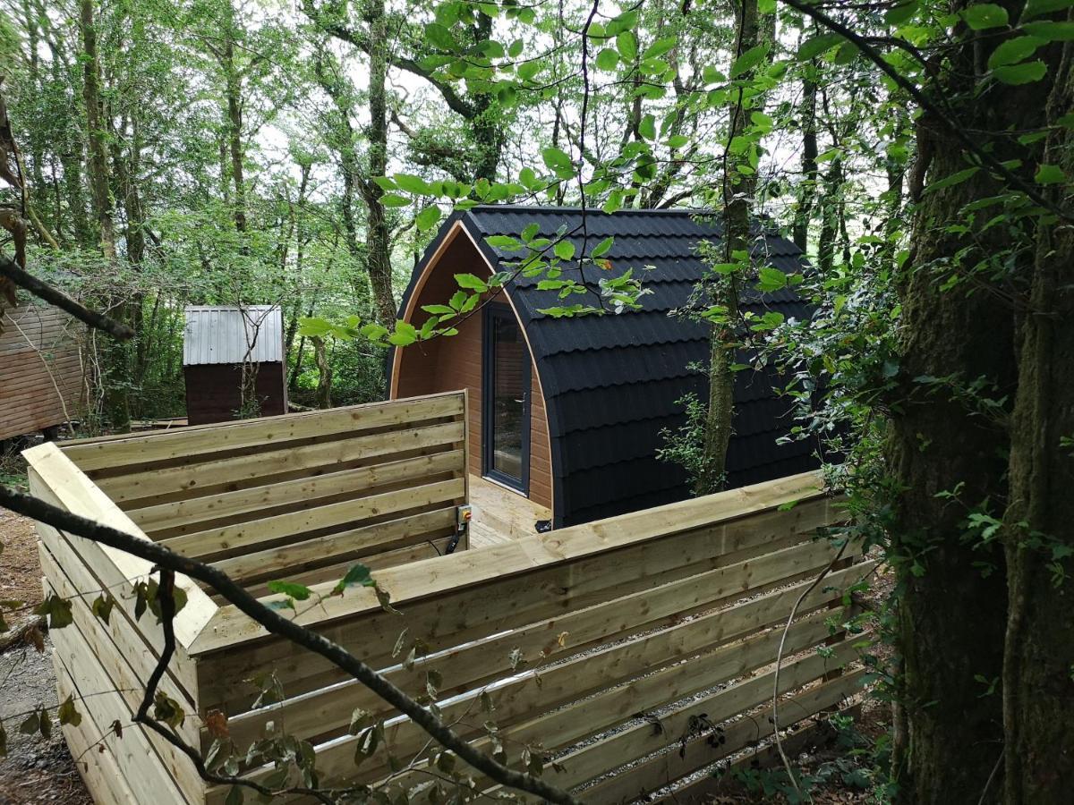 The Pod-Hot Tub-Woodland Lodges-St Clears-Carmarthen Eksteriør bilde