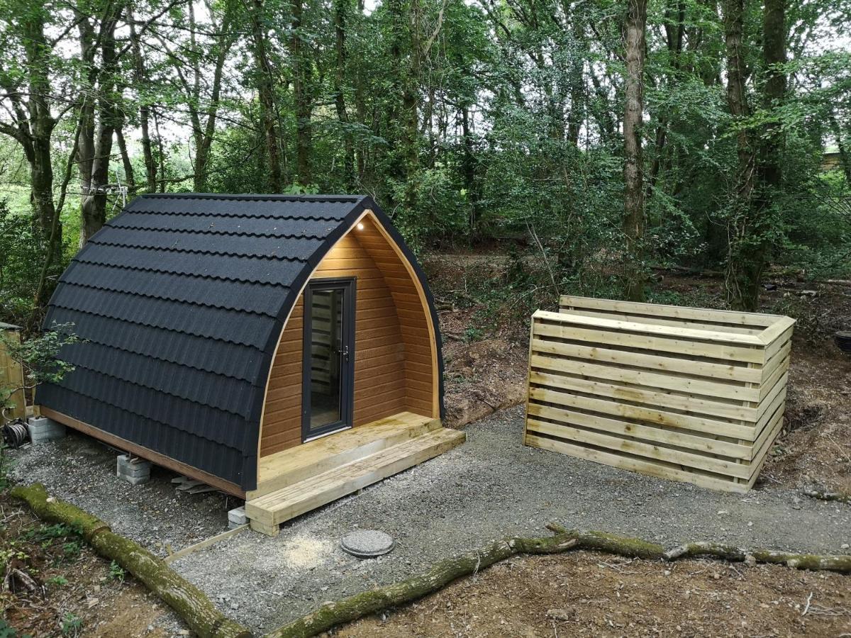 The Pod-Hot Tub-Woodland Lodges-St Clears-Carmarthen Eksteriør bilde