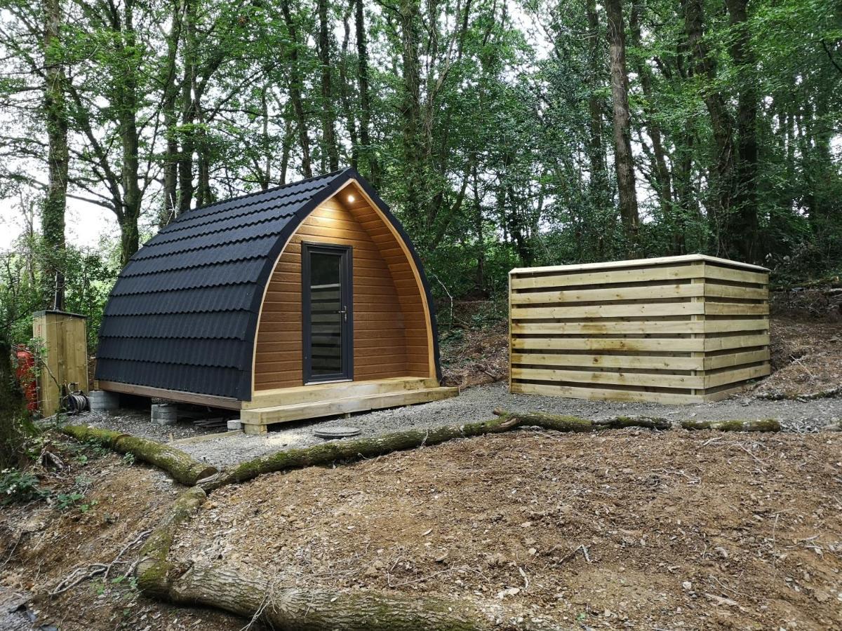 The Pod-Hot Tub-Woodland Lodges-St Clears-Carmarthen Eksteriør bilde