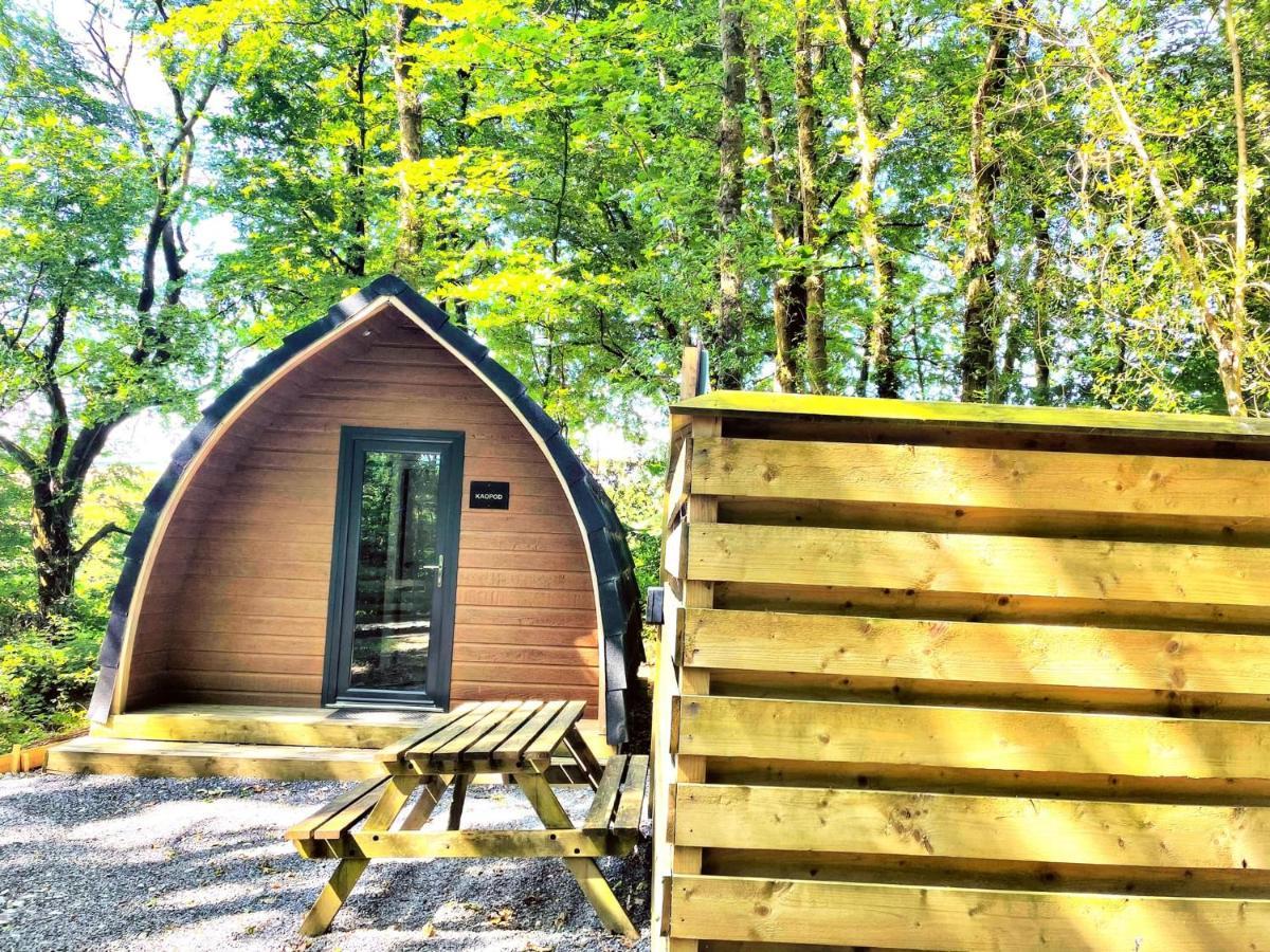 The Pod-Hot Tub-Woodland Lodges-St Clears-Carmarthen Eksteriør bilde
